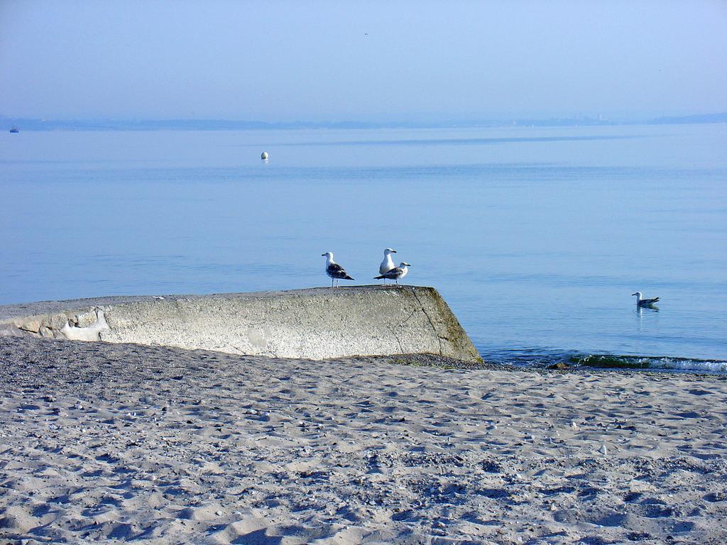 Fewo Machedanz Zentrumsnah & Ruhig Timmendorfer Strand Zewnętrze zdjęcie